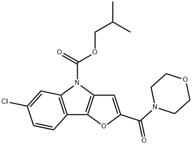 CasImg