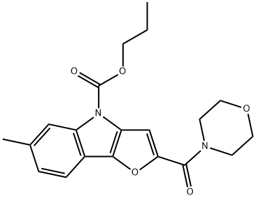 CasImg