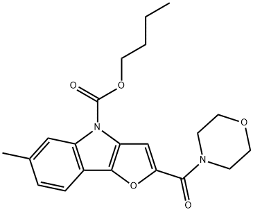 CasImg