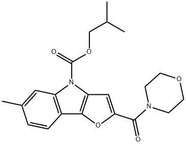 CasImg