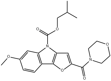 CasImg
