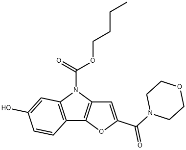 CasImg