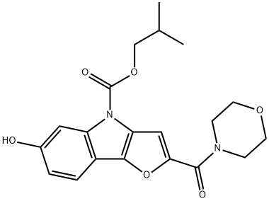 CasImg
