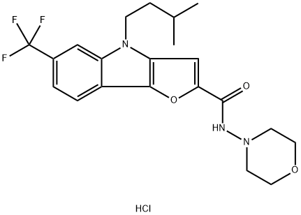 CasImg