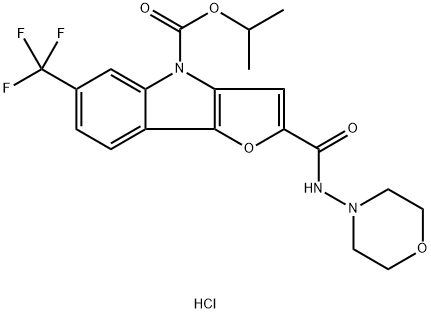 CasImg