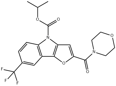 CasImg