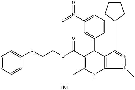 CasImg