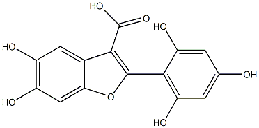 CasImg