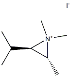 CasImg