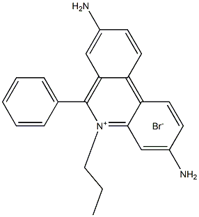CasImg