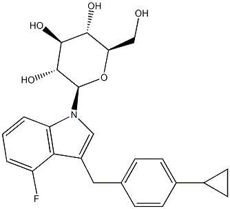 CasImg