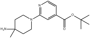 CasImg