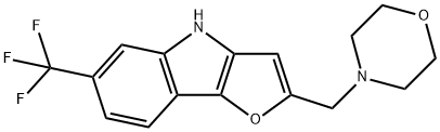 CasImg