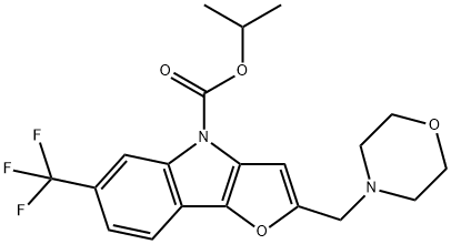 CasImg