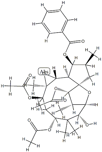 CasImg