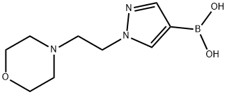 CasImg
