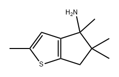CasImg