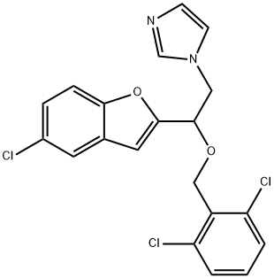 CasImg