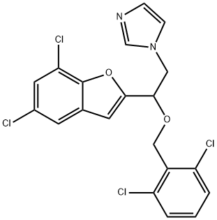 CasImg