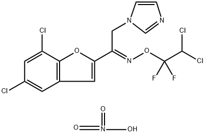 CasImg