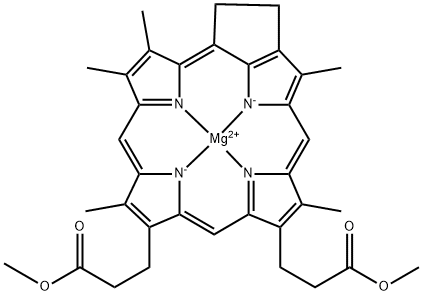 CasImg