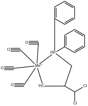 CasImg