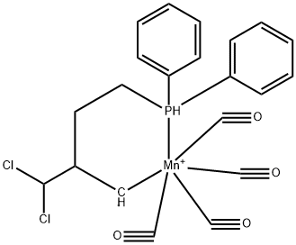 CasImg