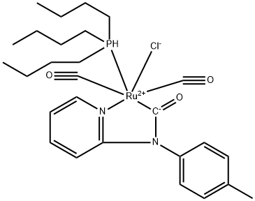 CasImg