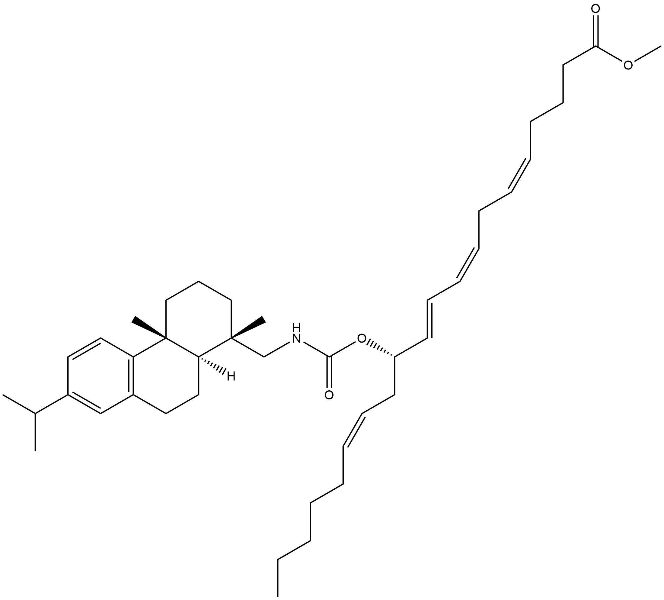 CasImg