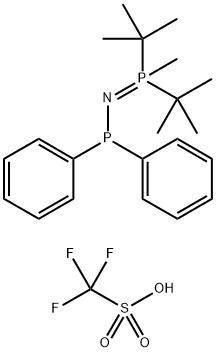 CasImg