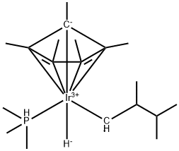 CasImg