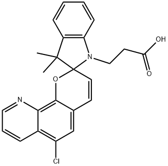 CasImg