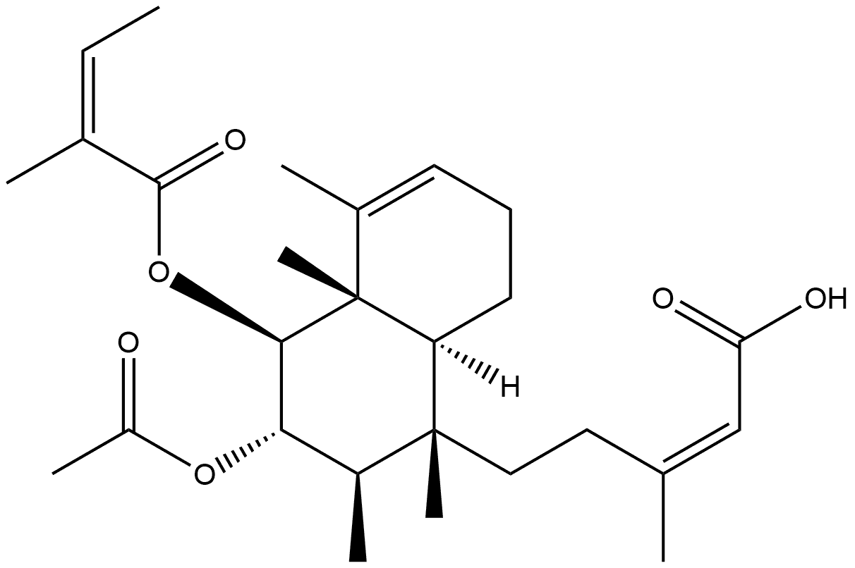 CasImg