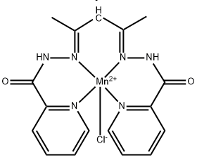 CasImg