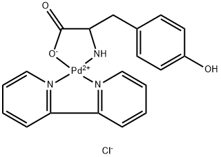 CasImg