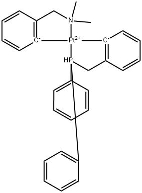 CasImg
