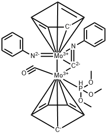 CasImg
