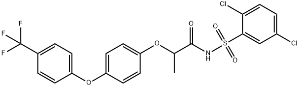 CasImg