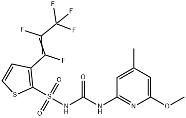 CasImg
