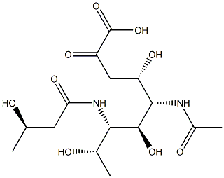 CasImg