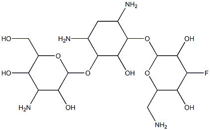 CasImg