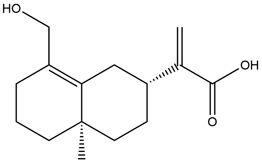 CasImg