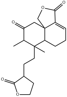 CasImg