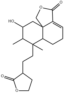 CasImg