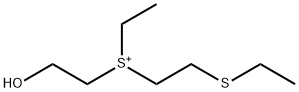 CasImg