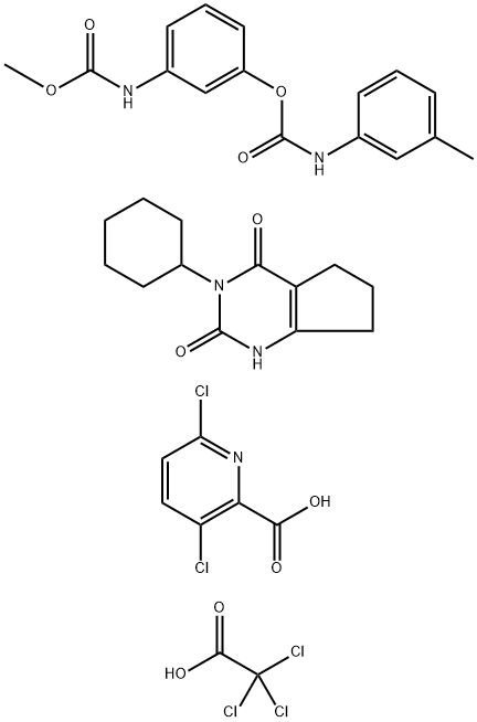CasImg