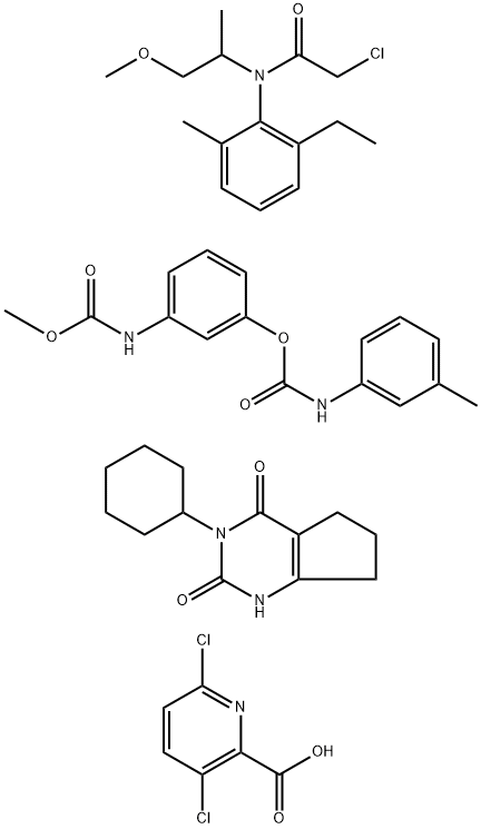 CasImg