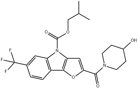 CasImg