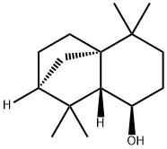 CasImg