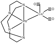 CasImg
